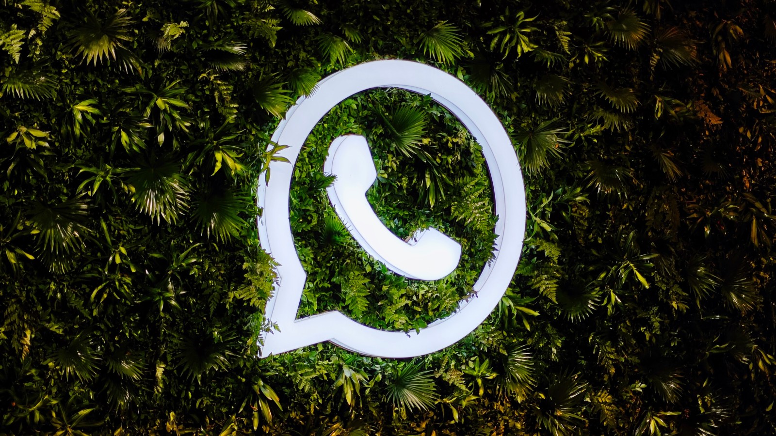 WhatsApp 号码筛选软件汇总｜2025年实用工具推荐＋全面使用心得