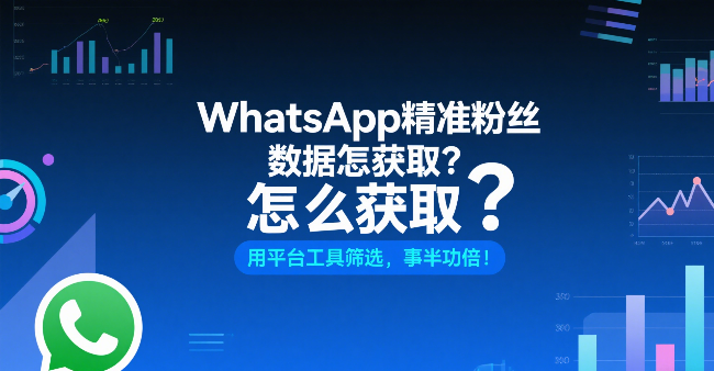 WhatsApp精准粉丝数据怎么获取？用平台工具筛选，事半功倍！