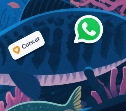 超强推荐：高效实用的WhatsApp号码检查工具！