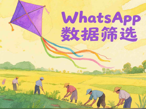 WhatsApp号码过滤快速清理无效联系人方法 🧹📲