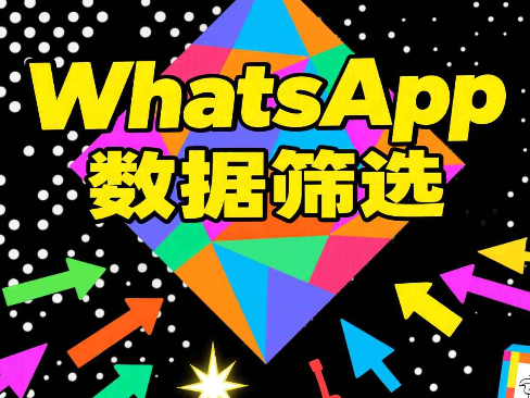 ws筛号批量验证活跃WhatsApp号技巧