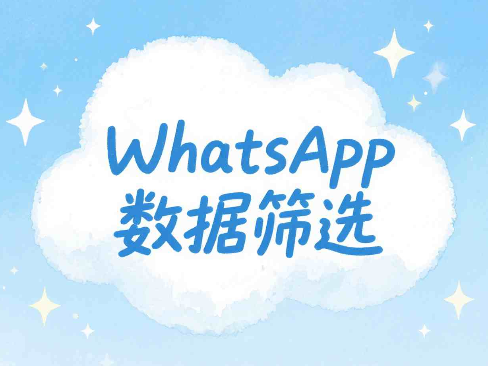 号码筛选软件实现精准海外营销推送方式