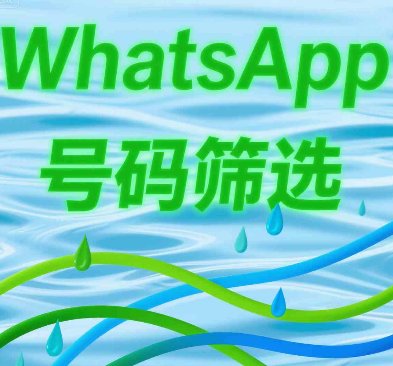 批量空号检测工具评测，提升WhatsApp营销效率