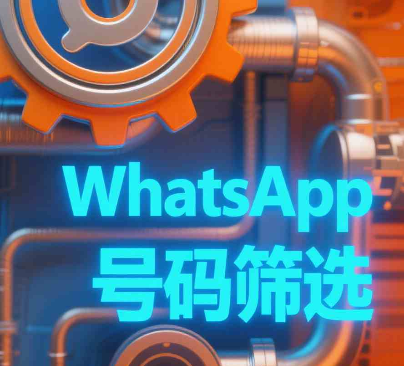 精准锁定高价值客户：WhatsApp中产用户筛选实操技巧
