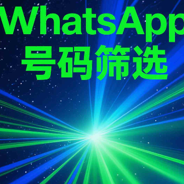 一键筛选中产高净值WhatsApp用户，精准锁定优质客户