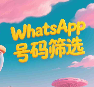 WhatsApp号码清洗实现精准投放指南