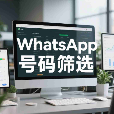 WhatsApp号码校验快速剔除空号方法