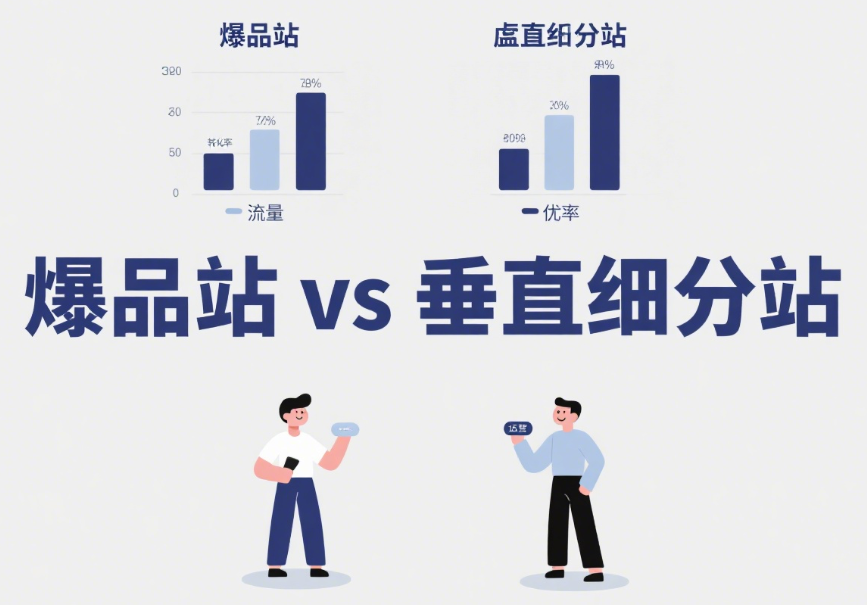 爆品站 vs 垂直细分站