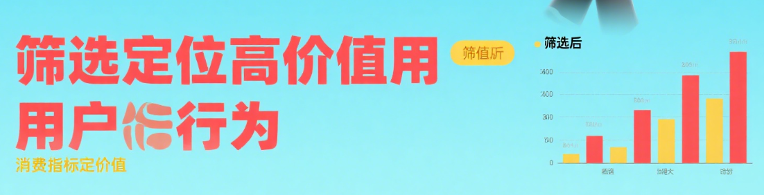 独立站数据筛选技巧：精准定位高价值用户行为