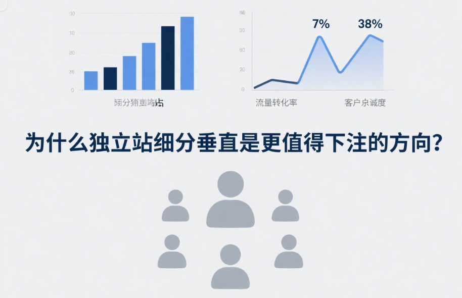 为什么独立站细分垂直是更值得下注的方向？
